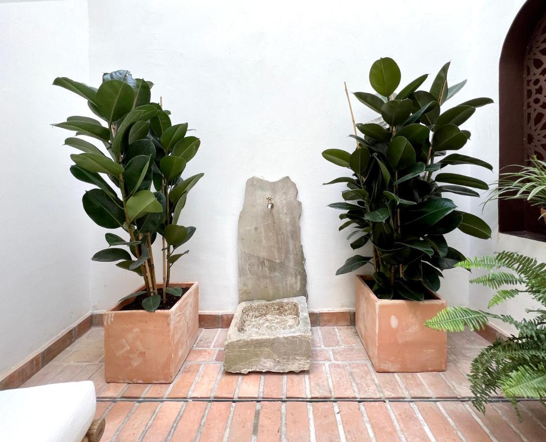Arcos De Medina - Apartamentos Premium Córdoba Eksteriør bilde